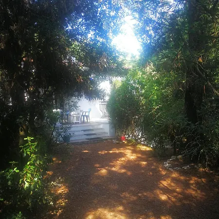Villa Large Family House Close To The *