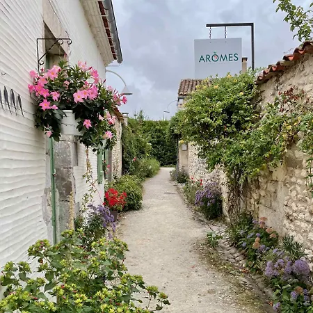 Villa Large Family House Close To The Les Mathes